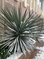 ������� �������: 10 ������ �������� � ���� �����